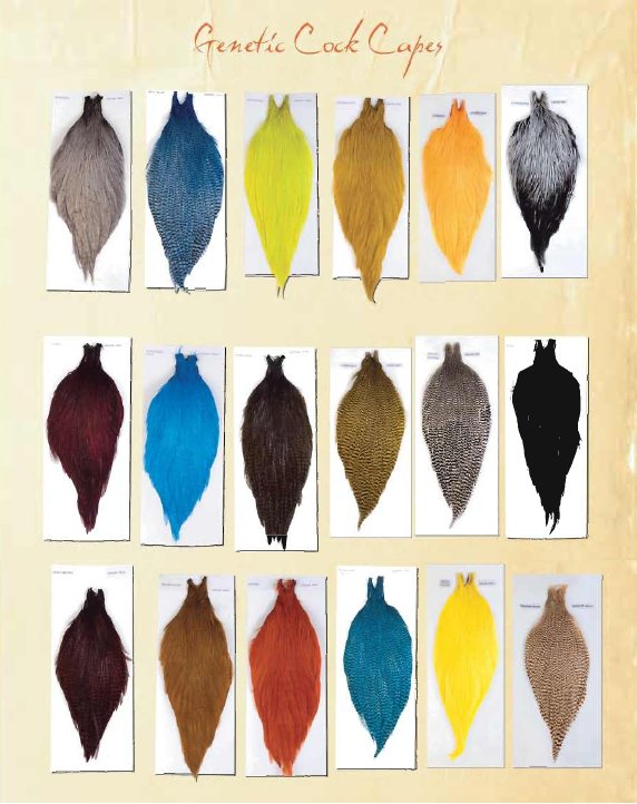 Ewing Hackle Genetic Rooster Capes Grade 1