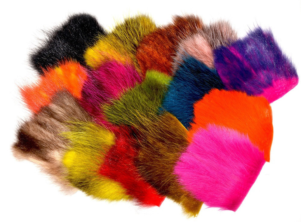 FutureFly American Opossum