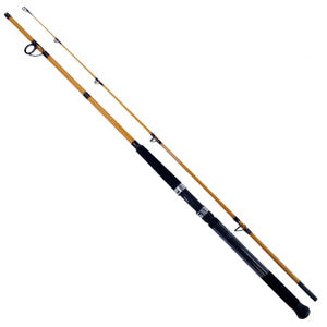 Daiwa FT Surf Rod 2 Pieces Line Wt 10-20 FTS1002MFS