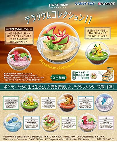 RE-MENT Pokemon Terrarium Collection Vol. 11 6 Pcs Box