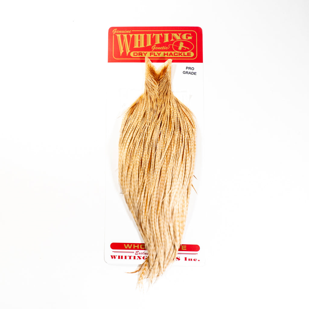 Whiting Pro Grade Rooster Cape Whole