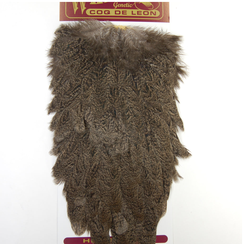 Whiting Coq de Leon Hen Saddle