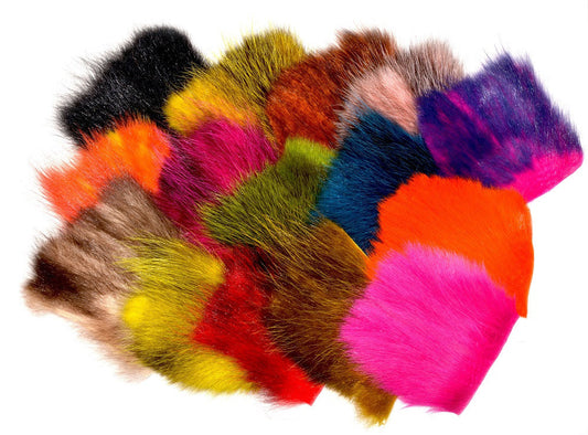 FutureFly American Opossum