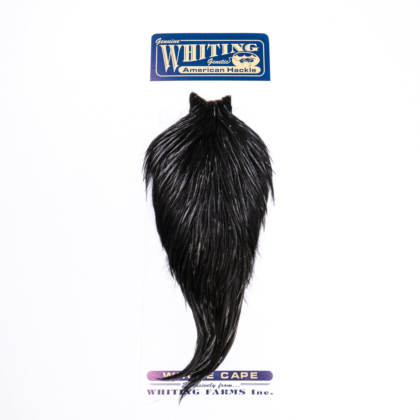 Whiting American Rooster Cape