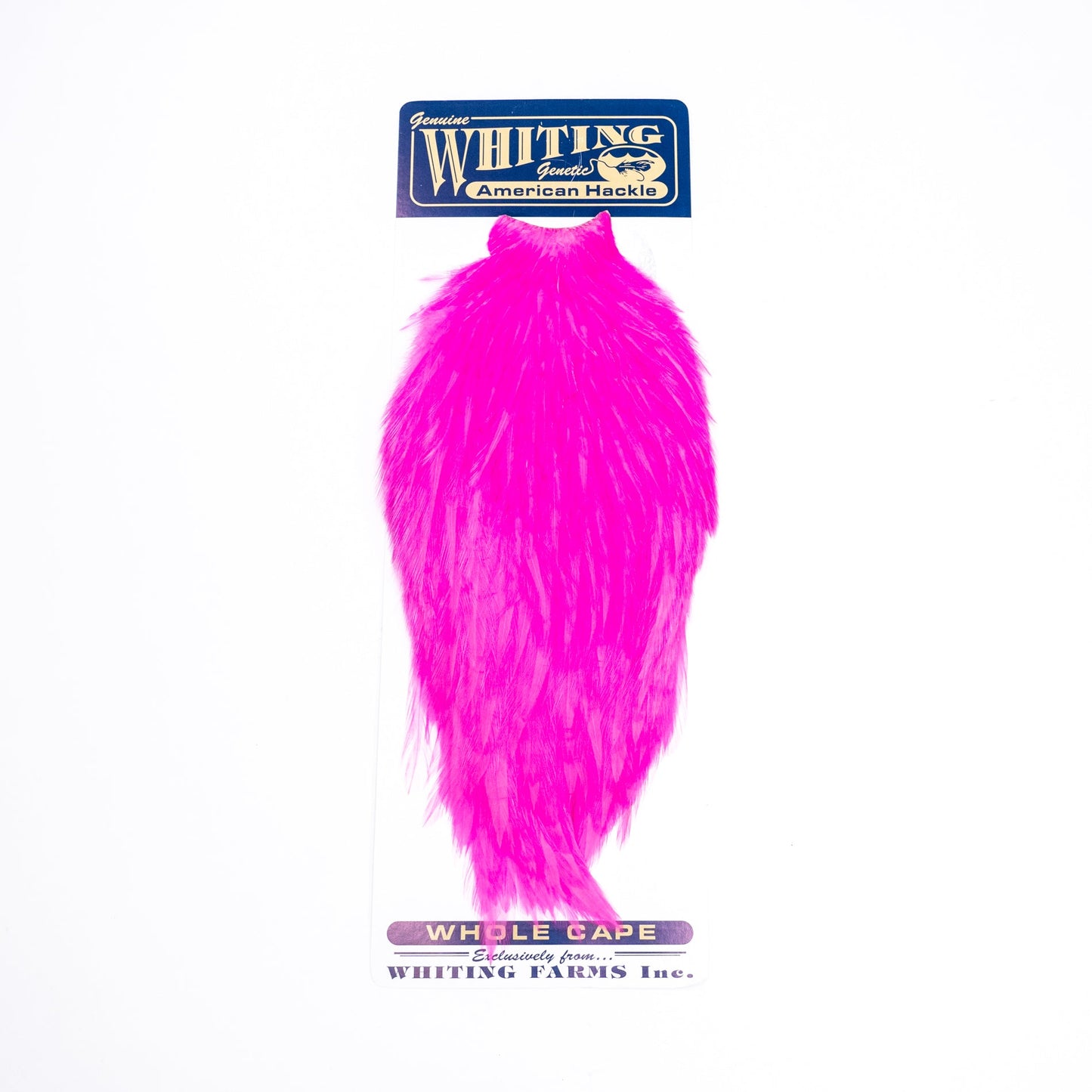 Whiting American Rooster Cape