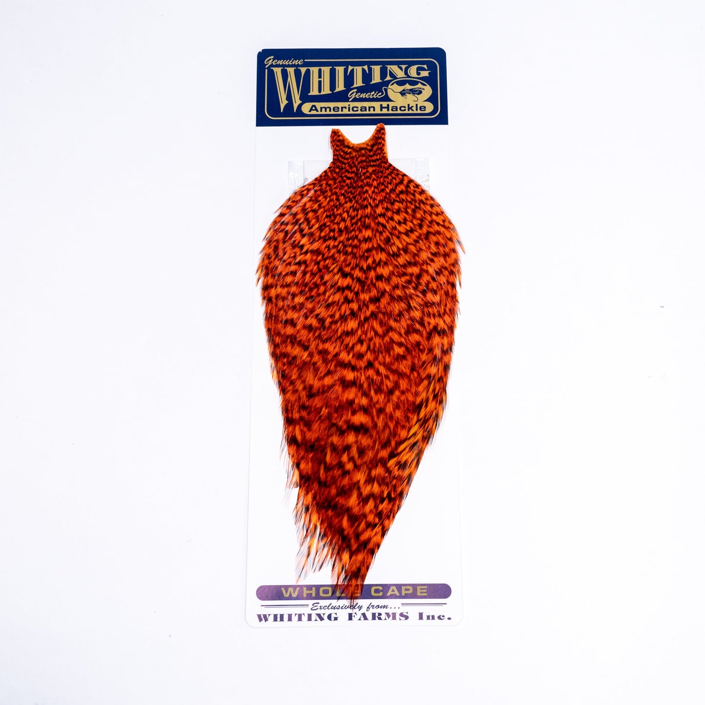 Whiting American Rooster Cape