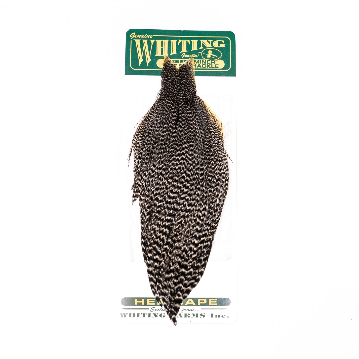 Whiting Hebert  Hen Cape